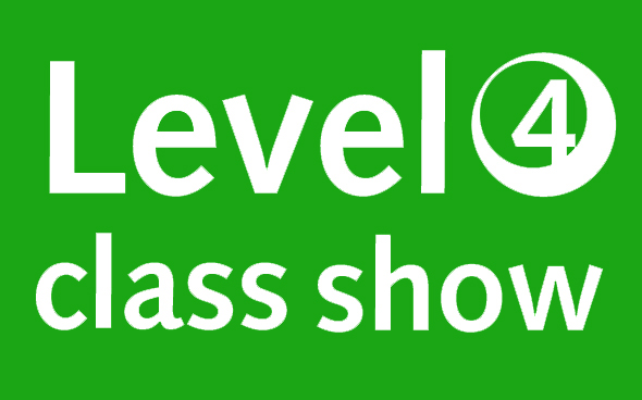 Level Four: Senior Project - The Deconstruction Class Show