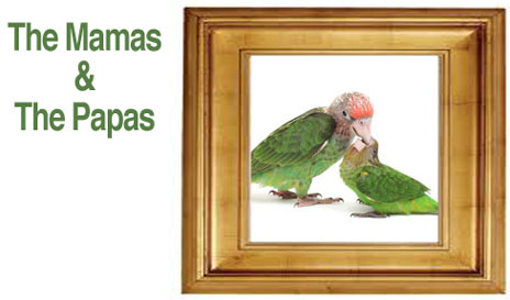 The Mamas and The Papas