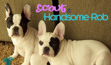 Scout & Handsome Rob