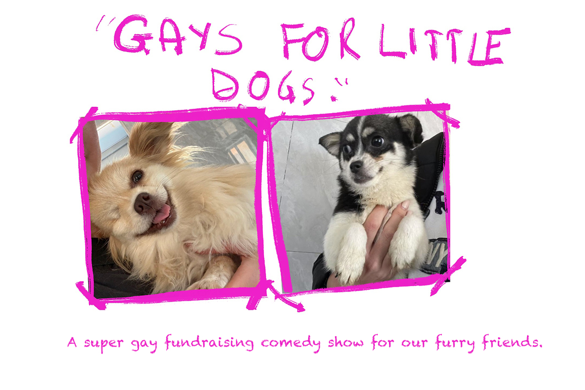 Gays For Little Dogs